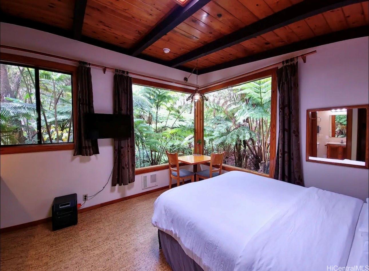 11-3832  2nd Street Mauna Loa Est, Puna home - photo 10 of 25