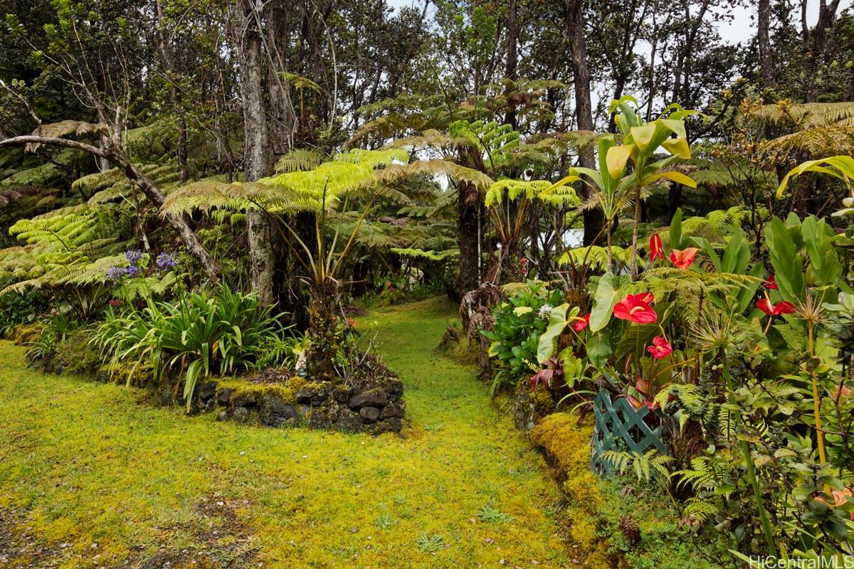 11-3896  2nd Street Mauna Loa Est, Puna home - photo 9 of 25