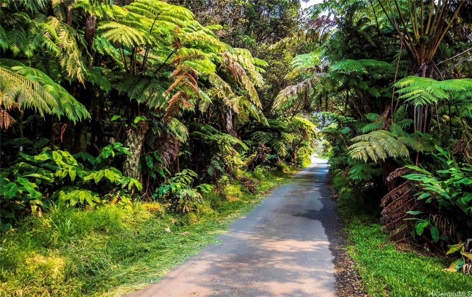 11-3972  Lanihuli Street Mauna Loa Est, Puna home - photo 10 of 22