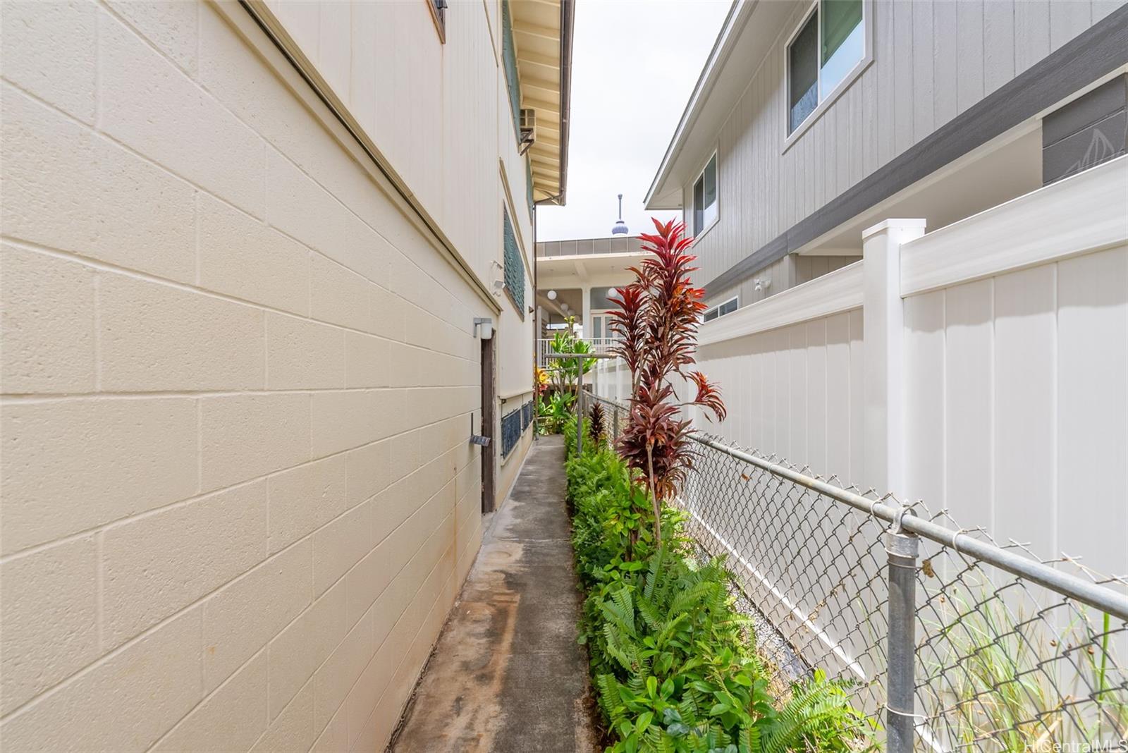 116  Milo Lane Punchbowl Area, Honolulu home - photo 22 of 25