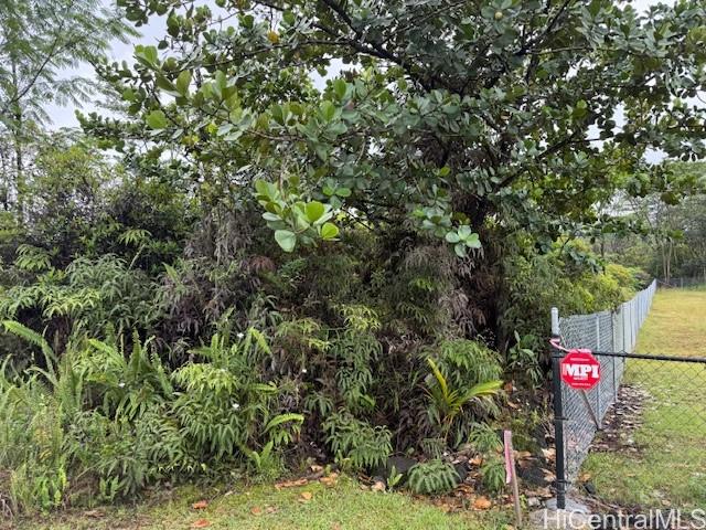 1163 13th Ave  Keaau, Hi vacant land for sale - photo 2 of 11