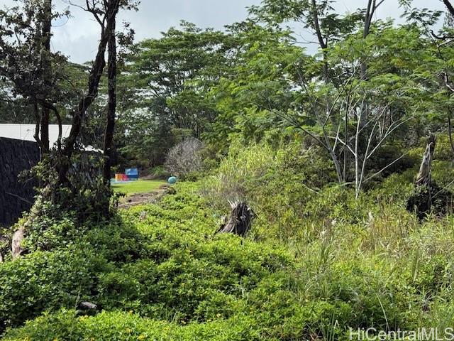 1163 13th Ave  Keaau, Hi vacant land for sale - photo 3 of 11