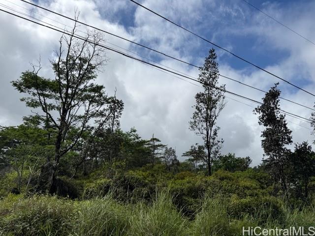 1163 13th Ave  Keaau, Hi vacant land for sale - photo 4 of 11
