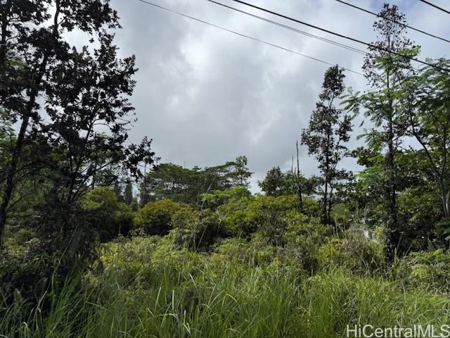 1163 13th Ave  Keaau, Hi vacant land for sale - photo 5 of 11