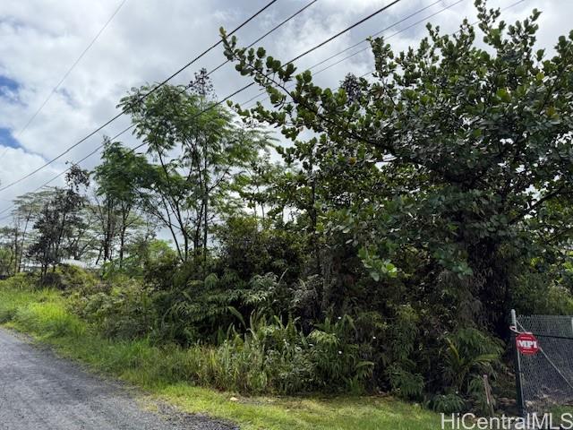 1163 13th Ave  Keaau, Hi vacant land for sale - photo 8 of 11