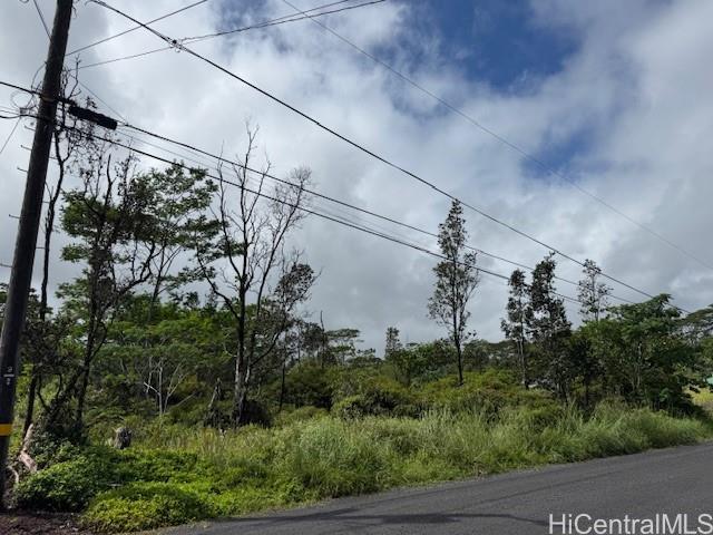 1163 13th Ave  Keaau, Hi vacant land for sale - photo 10 of 11