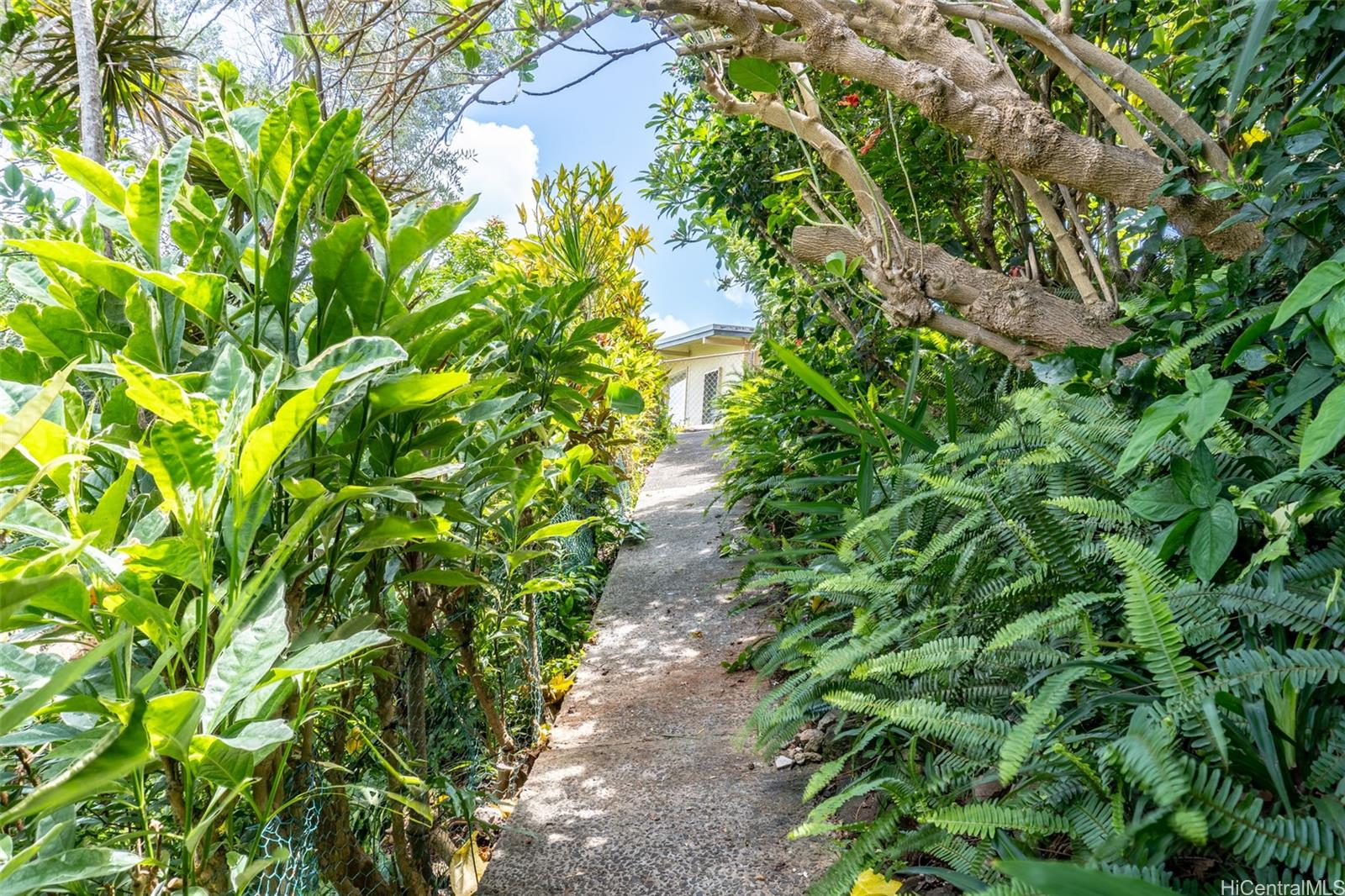 1164  Manulani Street Keolu Hills, Kailua home - photo 23 of 25