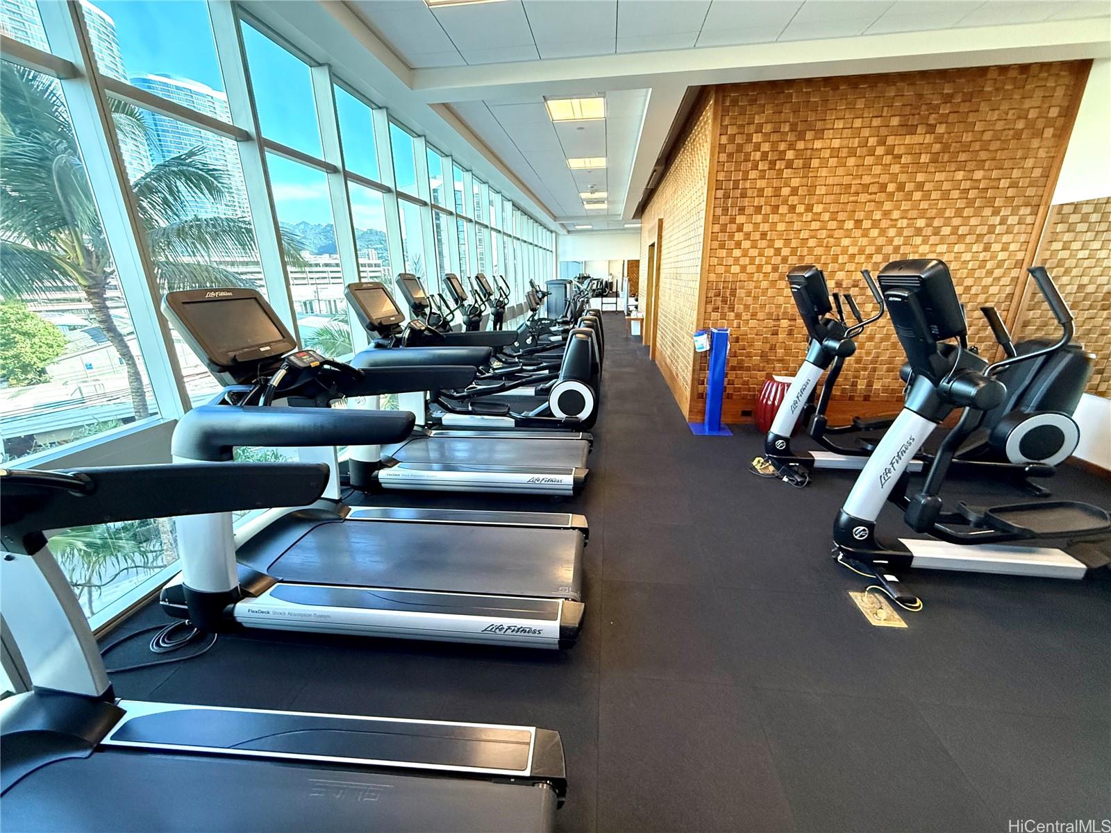 1189 Waimanu St Honolulu - Rental - photo 14 of 19