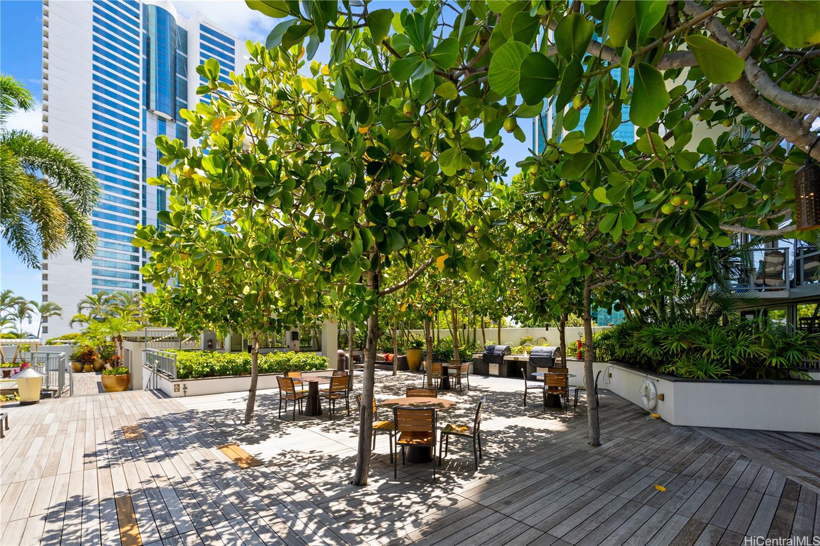 1189 Waimanu St Honolulu - Rental - photo 19 of 23