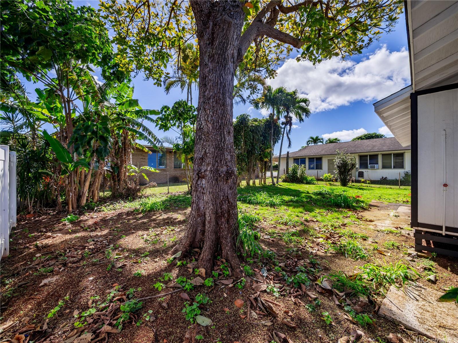 12  Hauola Ave Wahiawa Area, Central home - photo 18 of 19