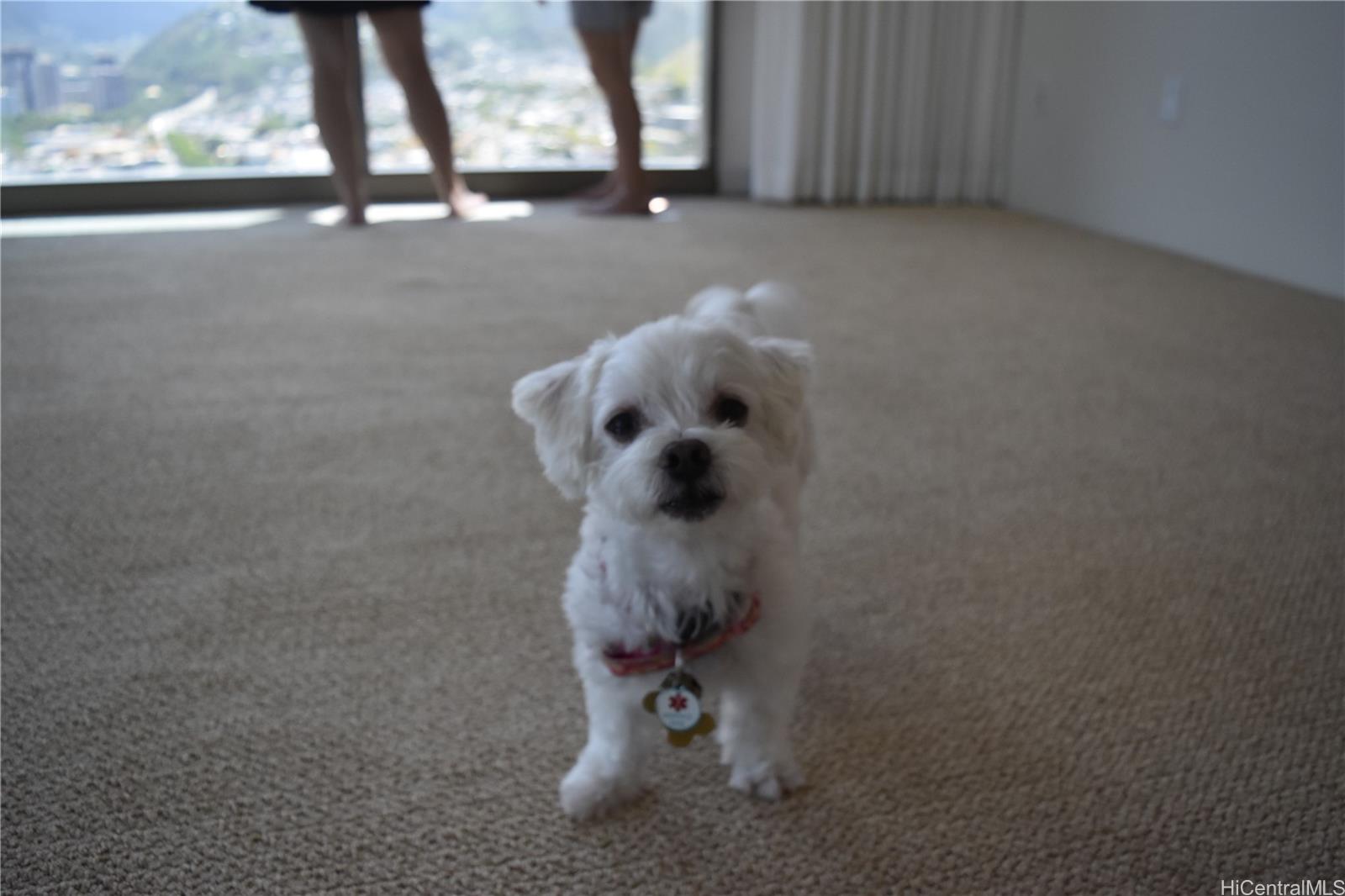 Capitol Place condo # 3511, Honolulu, Hawaii - photo 13 of 24