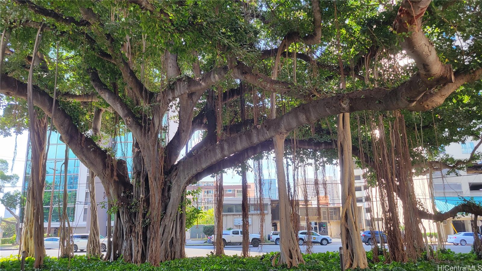 Banyan Tree Plaza condo # 701, Honolulu, Hawaii - photo 11 of 19