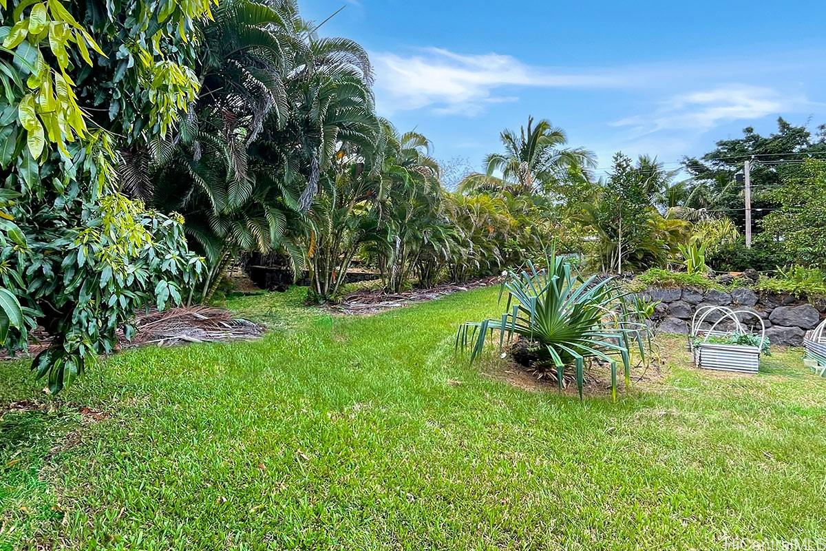 12-161 Kipuka St  Pahoa, Hi vacant land for sale - photo 11 of 20