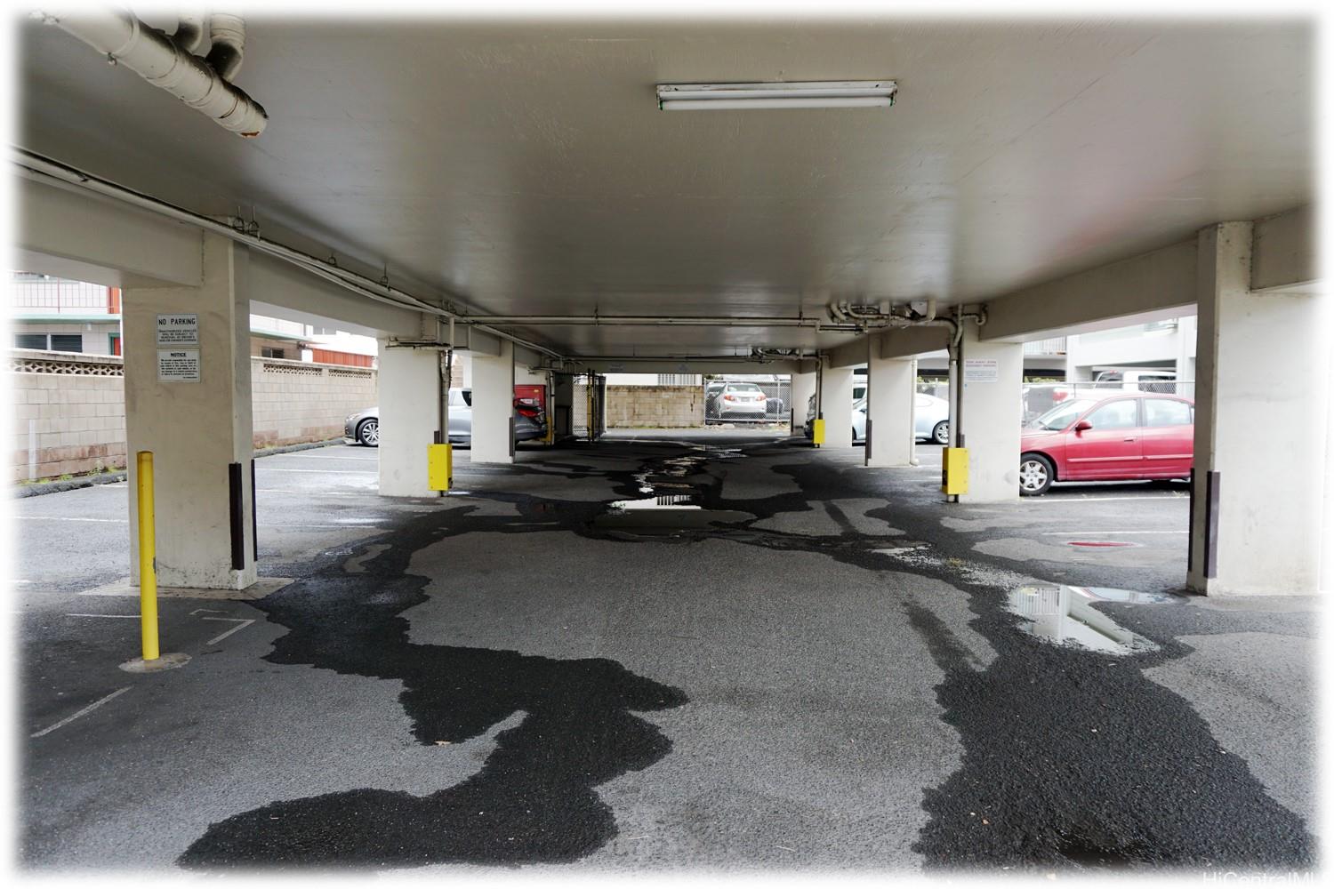 1254 Lunalilo St Honolulu - Rental - photo 9 of 10