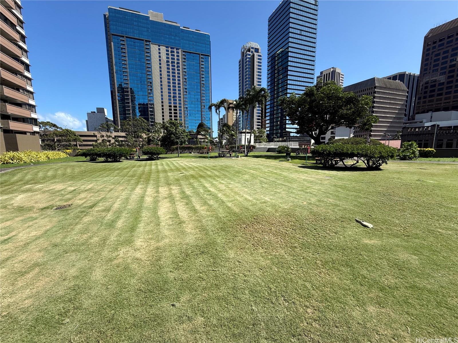 1255 Nuuanu Ave Honolulu - Rental - photo 9 of 9