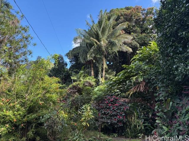 1290  Puualoha Street Maunawili, Kailua home - photo 23 of 24