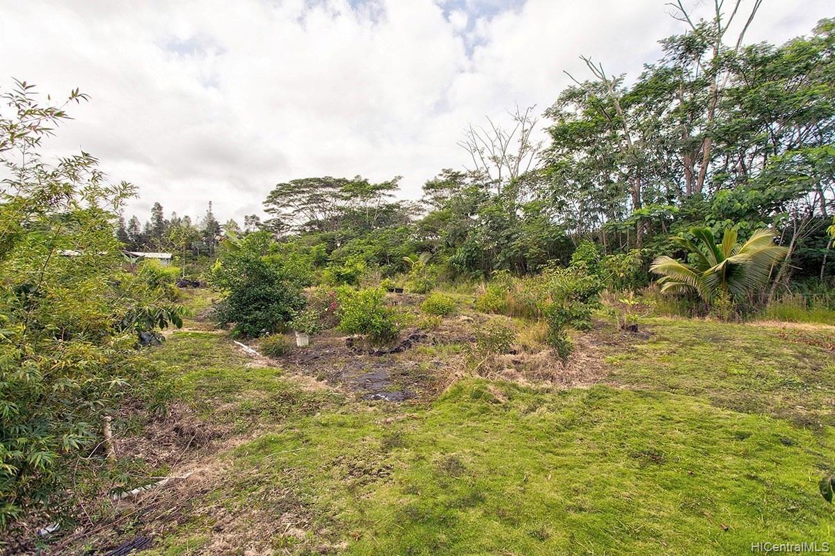 0 12th Ave 1355 Keaau, Hi vacant land for sale - photo 9 of 12