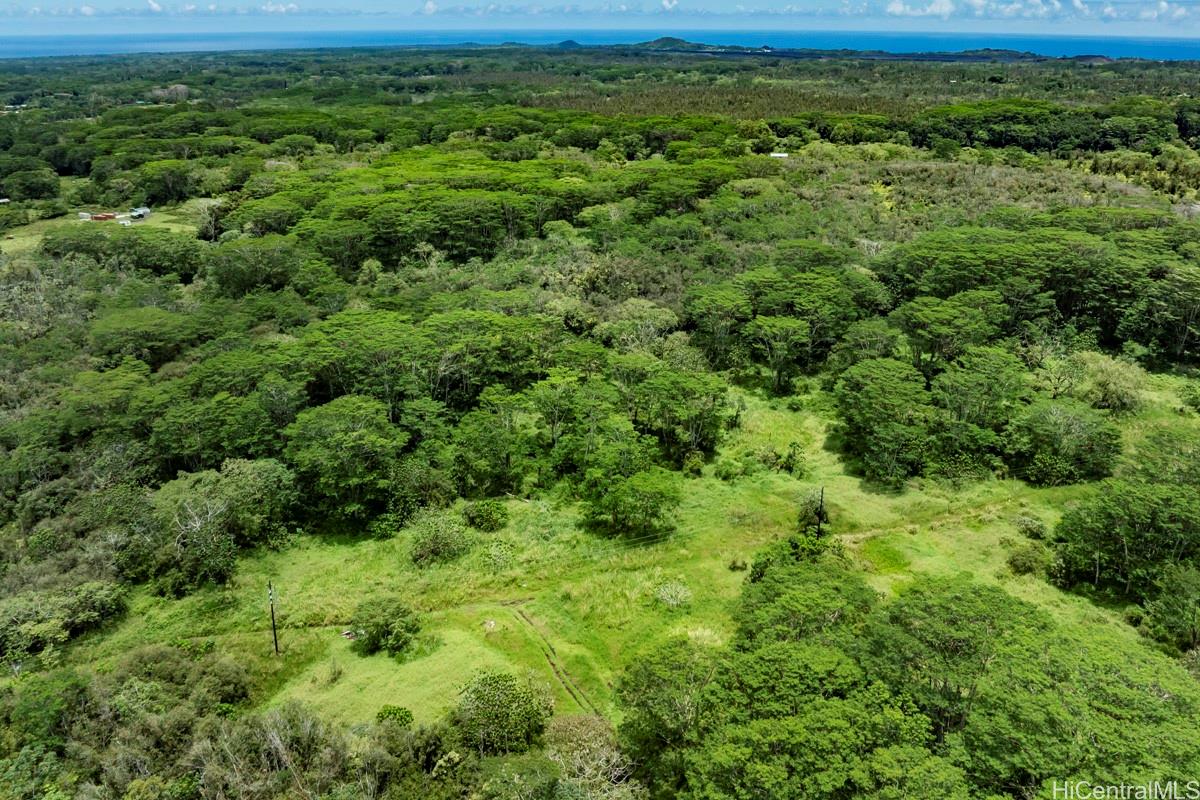 13-1368  Launahele Rd Pahoa, Puna home - photo 24 of 25