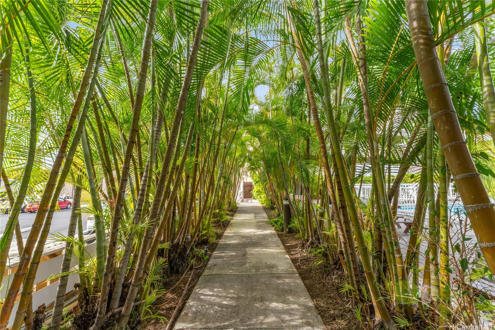 1330 Wilder condo # 306, Honolulu, Hawaii - photo 17 of 25