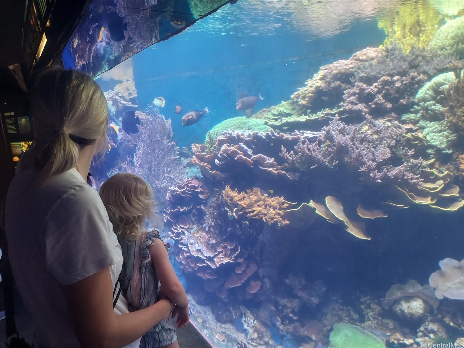 Waikiki Grand Hotel condo # 405, Honolulu, Hawaii - photo 11 of 14