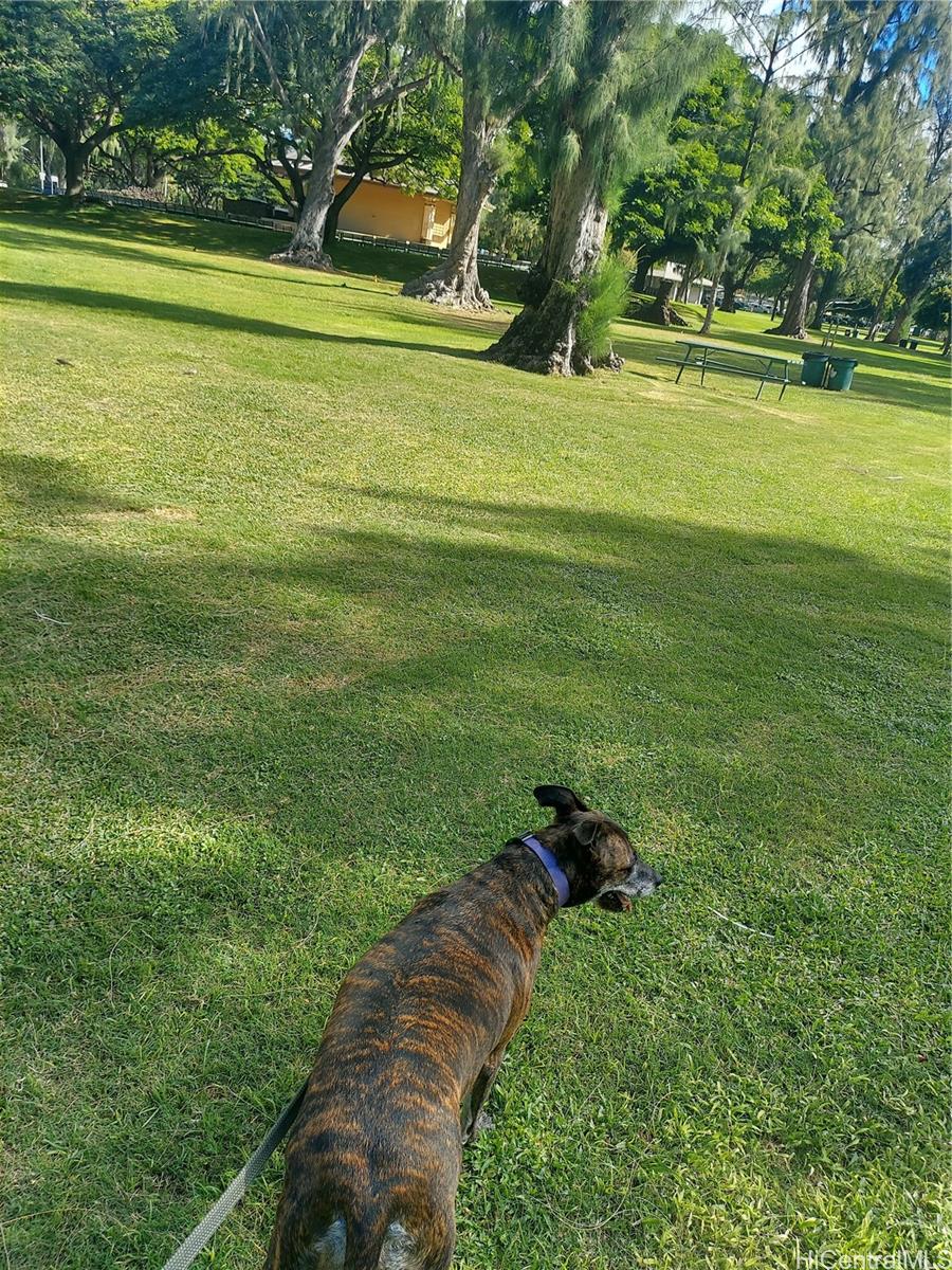 Waikiki Grand Hotel condo # 405, Honolulu, Hawaii - photo 12 of 14