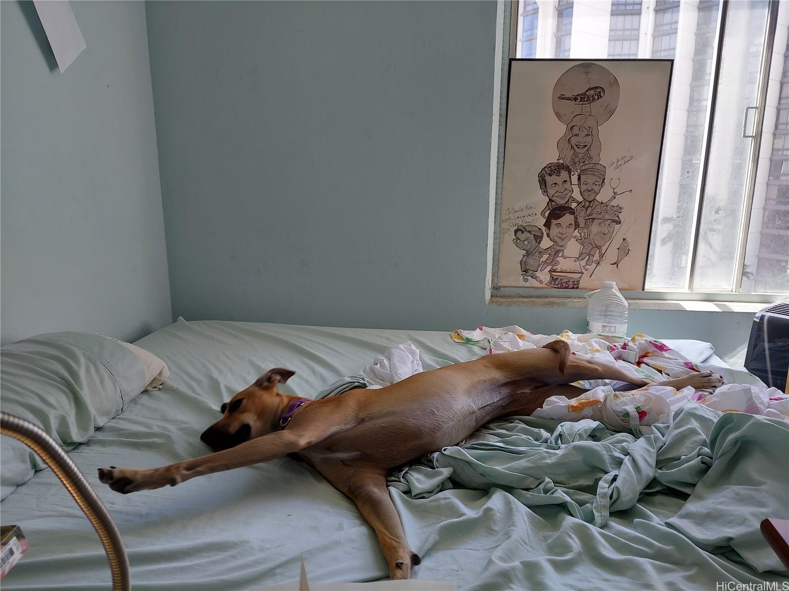 Waikiki Grand Hotel condo # 405, Honolulu, Hawaii - photo 10 of 14