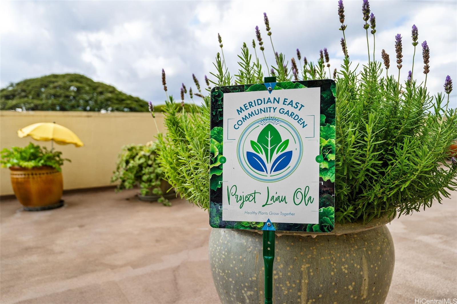 Meridian East condo # 904, Kailua, Hawaii - photo 17 of 25