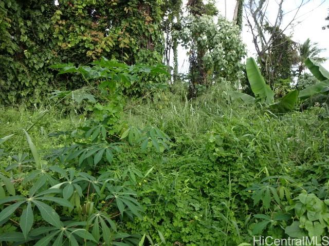141 Manini St  Hilo, Hi vacant land for sale - photo 2 of 6