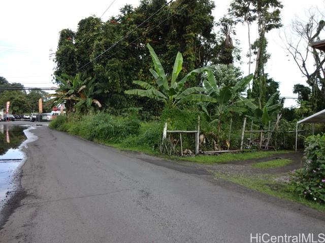 141 Manini St  Hilo, Hi vacant land for sale - photo 3 of 6