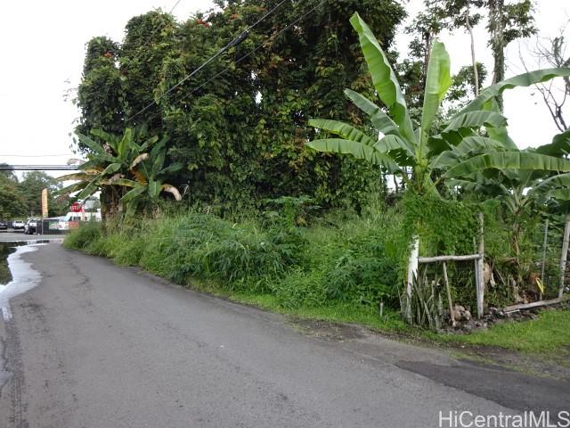 141 Manini St  Hilo, Hi vacant land for sale - photo 4 of 6