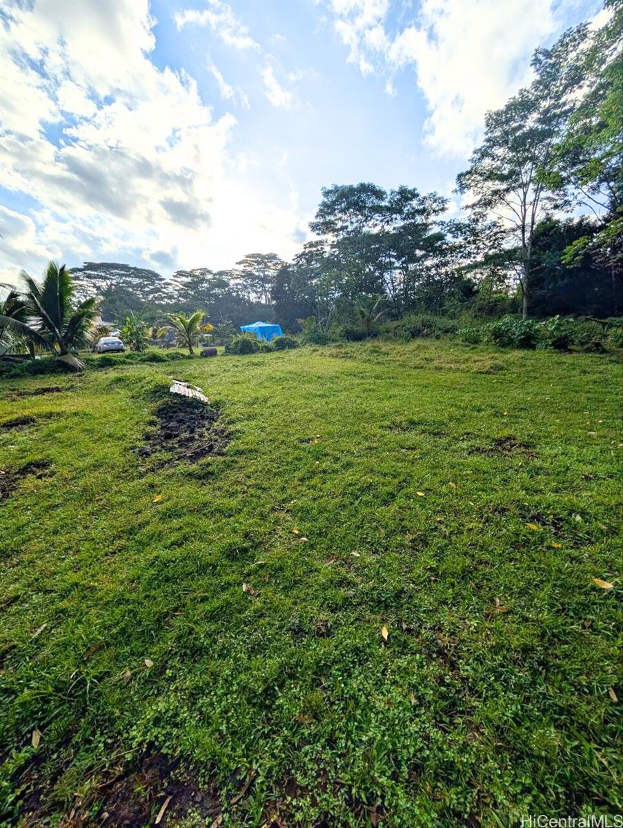 14-3276 Pualaa Road Pahoa - Multi-family - photo 14 of 15