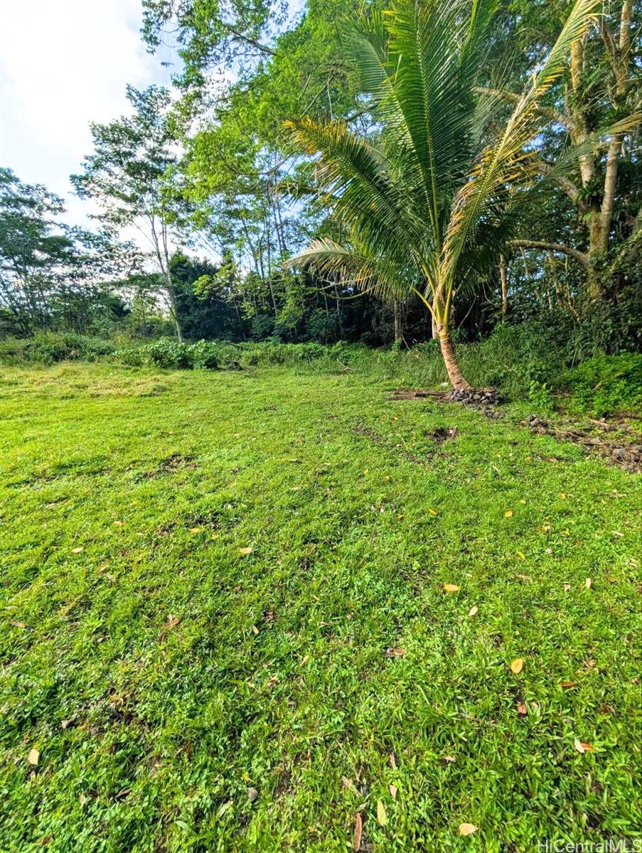 14-3276 Pualaa Road Pahoa - Multi-family - photo 15 of 15