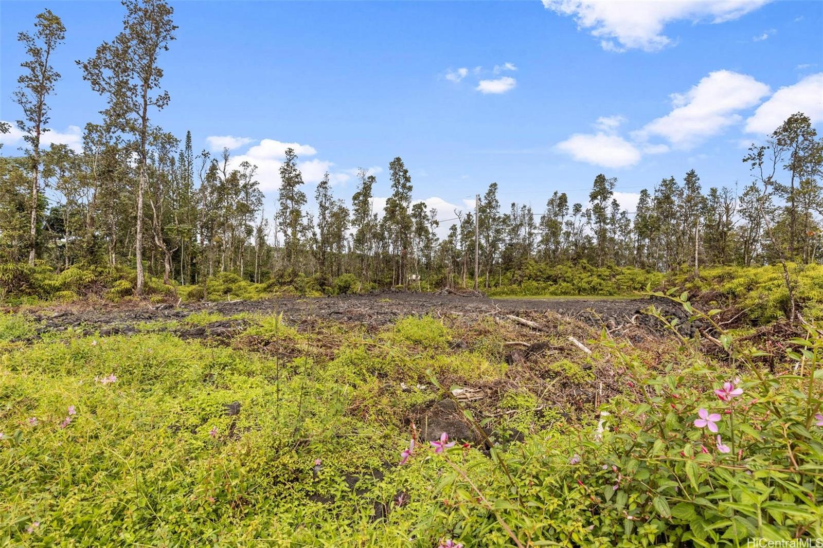 14-3440 Oahu Road Lot - 917 Pahoa, Hi vacant land for sale - photo 11 of 25