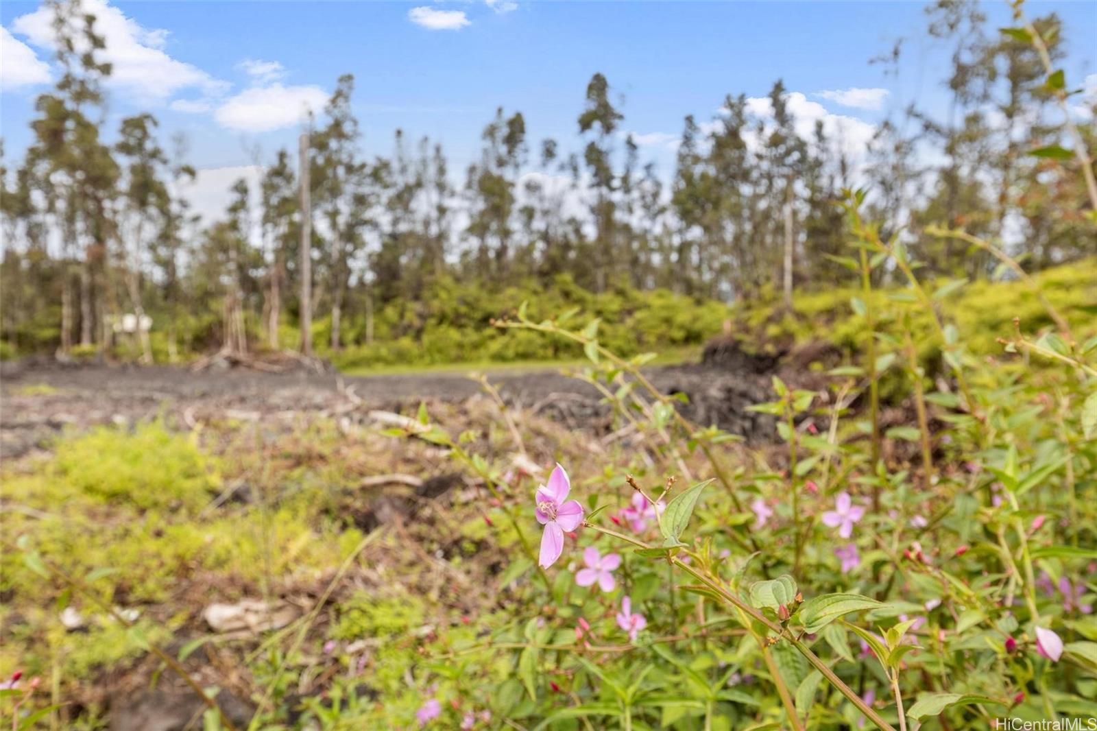 14-3440 Oahu Road Lot - 917 Pahoa, Hi vacant land for sale - photo 10 of 25