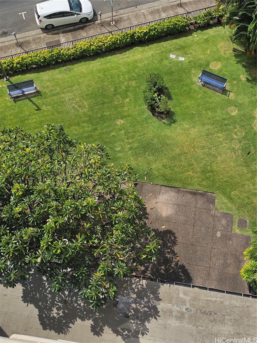 1448 Young St Honolulu - Rental - photo 13 of 18