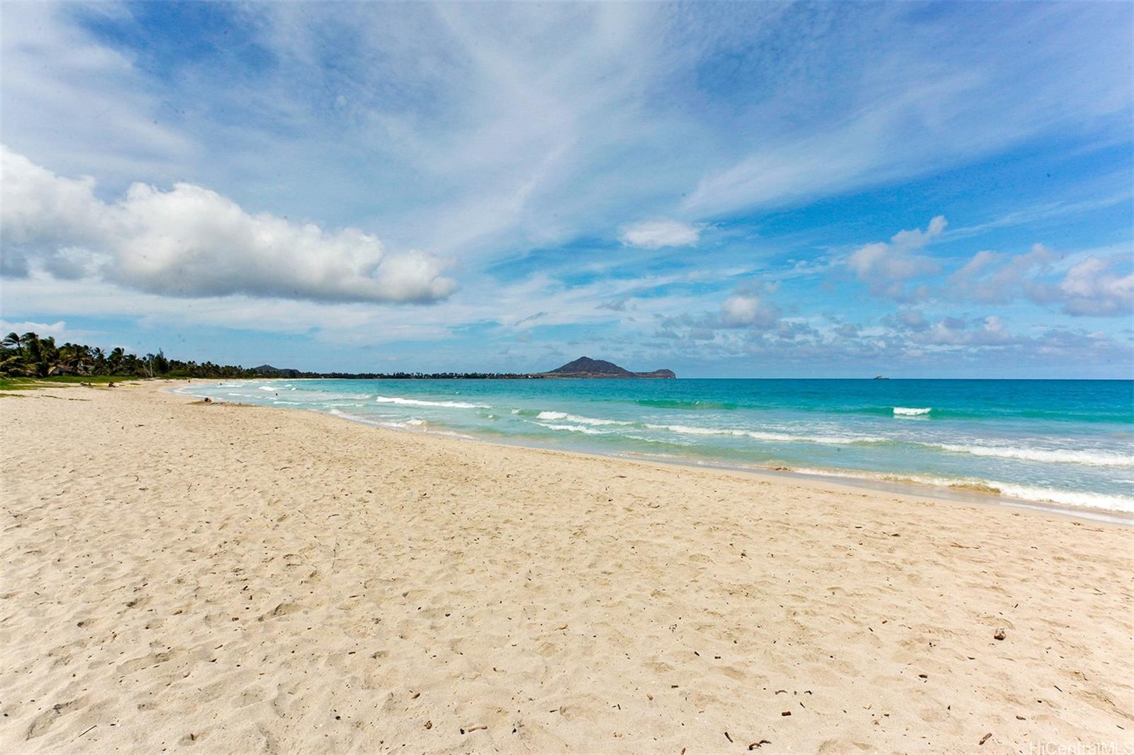 145 Kapaa Street Kailua - Rental - photo 18 of 18