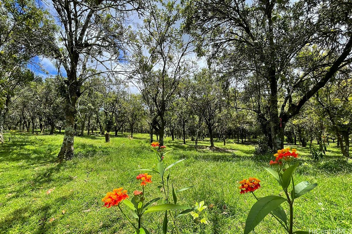 14-5079 Puua Road  Pahoa, Hi vacant land for sale - photo 3 of 25