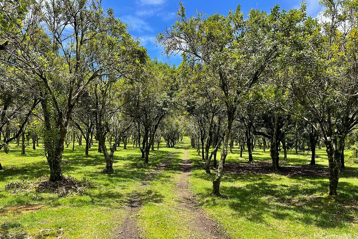 14-5079 Puua Road  Pahoa, Hi vacant land for sale - photo 4 of 25