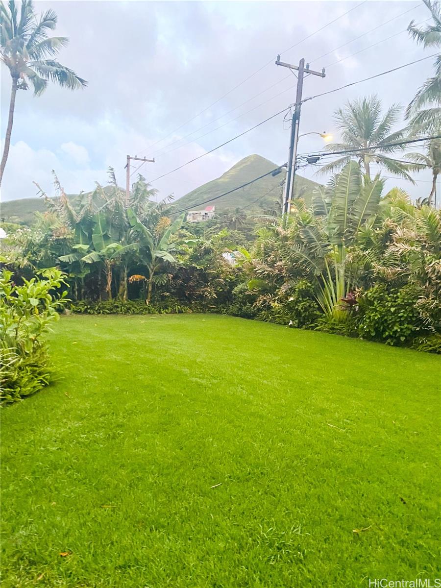 1456  Mokulua Drive Lanikai, Kailua home - photo 16 of 25