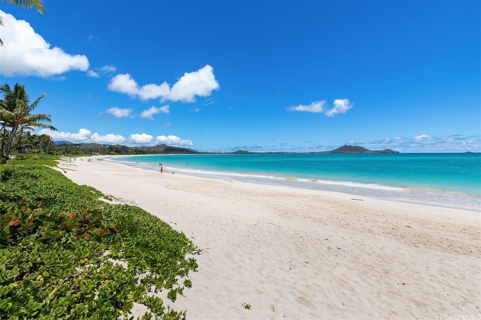 146 Kalaheo Ave , Kailua, Hi 96734 Beachfront living! Beachside
