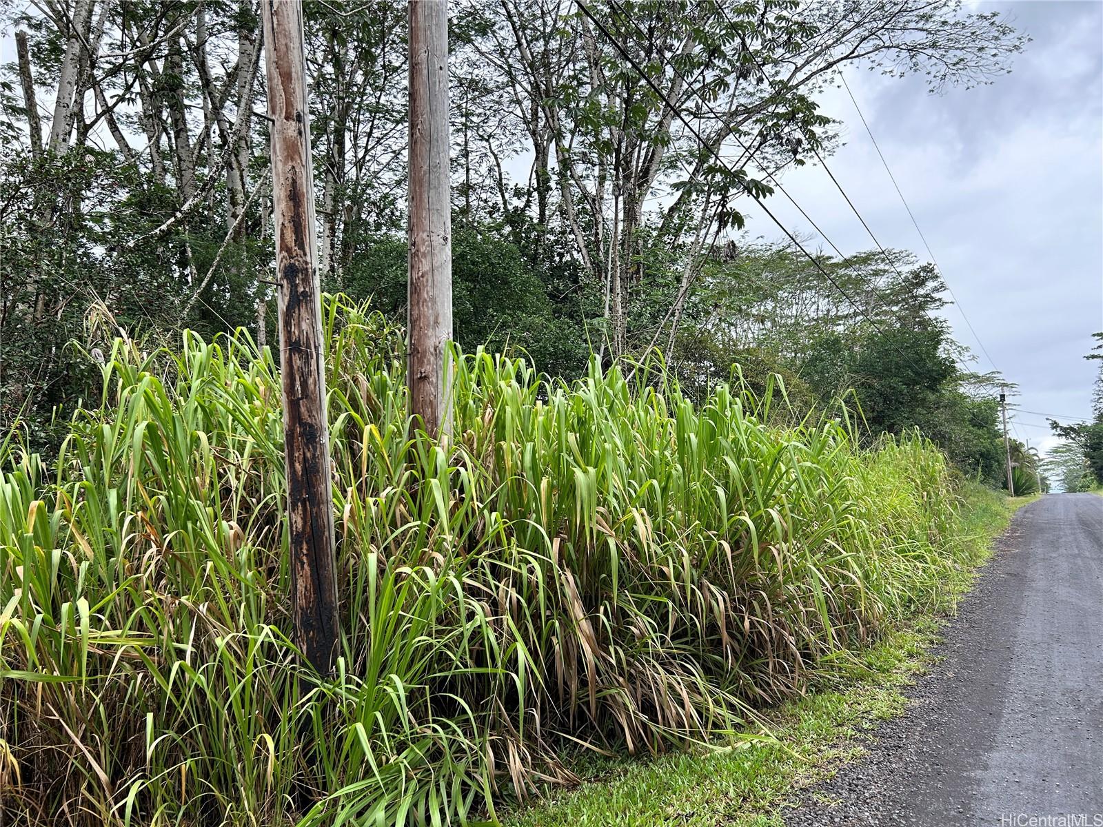 - 14th Ave  Keaau, Hi vacant land for sale - photo 3 of 4