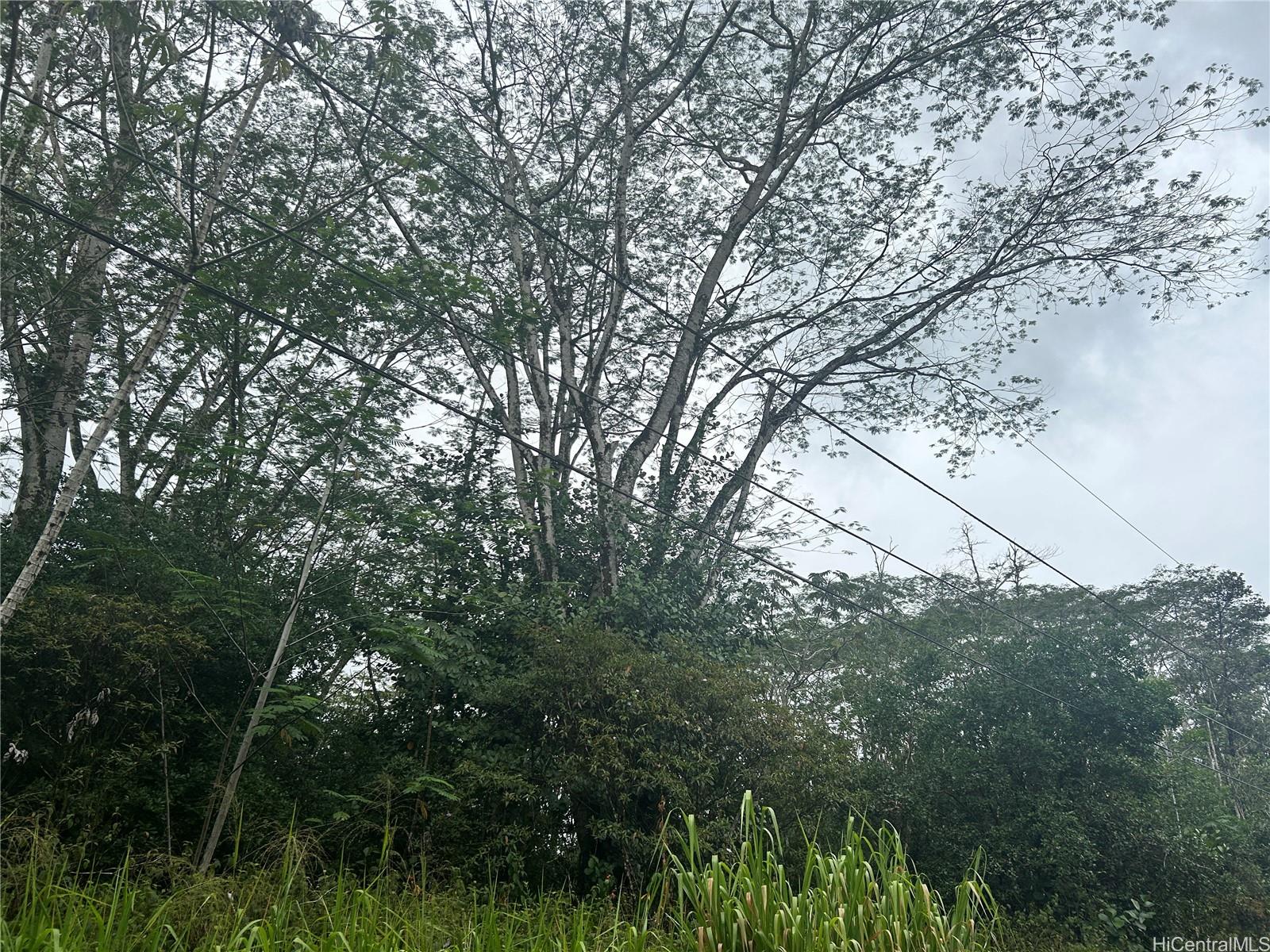 - 14th Ave  Keaau, Hi vacant land for sale - photo 4 of 4