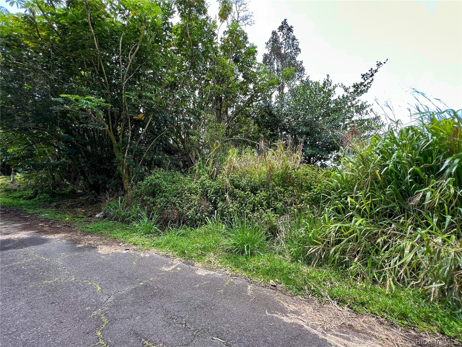 1515 Kawakawa Street  Pahoa, Hi vacant land for sale - photo 8 of 11