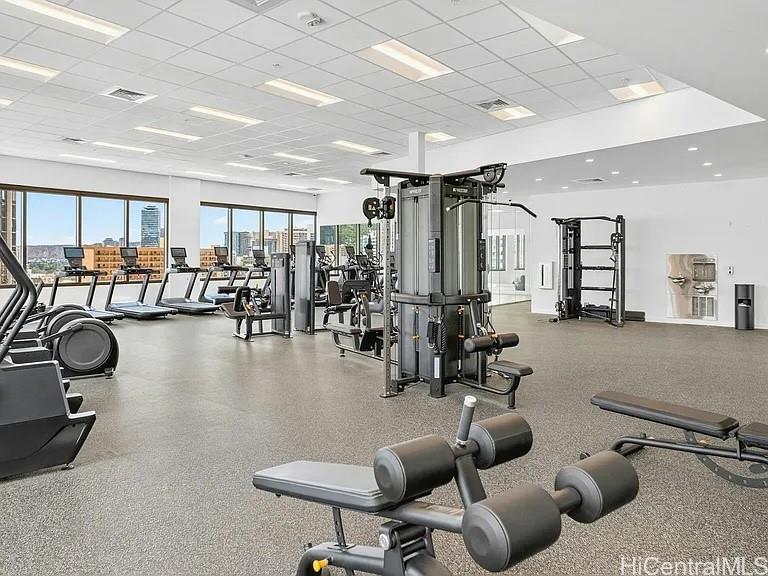 1515 Liona Street Honolulu - Rental - photo 15 of 18