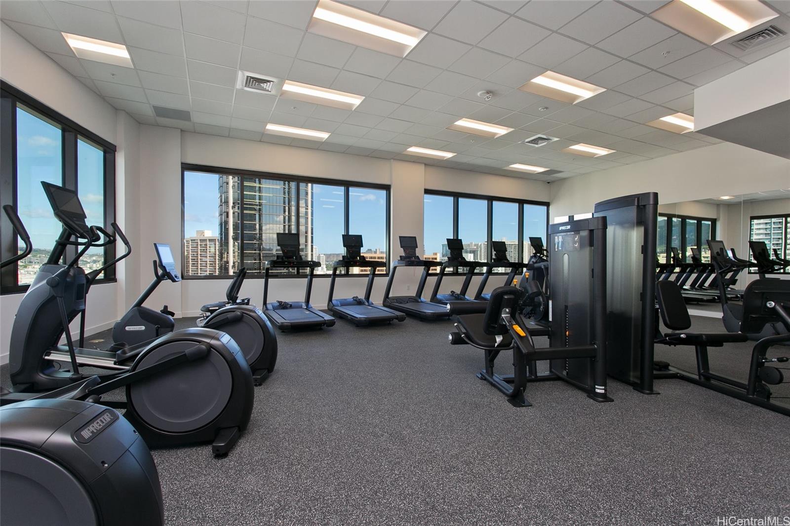 1515 Liona Street Honolulu - Rental - photo 17 of 25