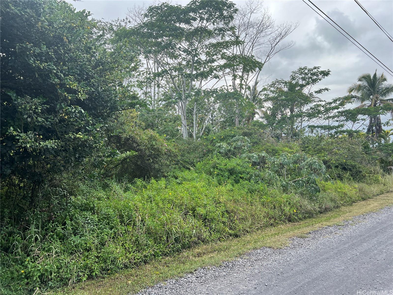 15-1590 17th Ave  Keaau, Hi vacant land for sale - photo 2 of 6