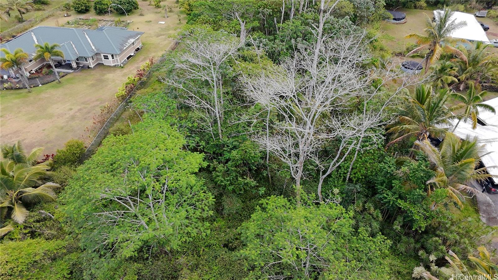 15-1590 17th Ave  Keaau, Hi vacant land for sale - photo 4 of 6