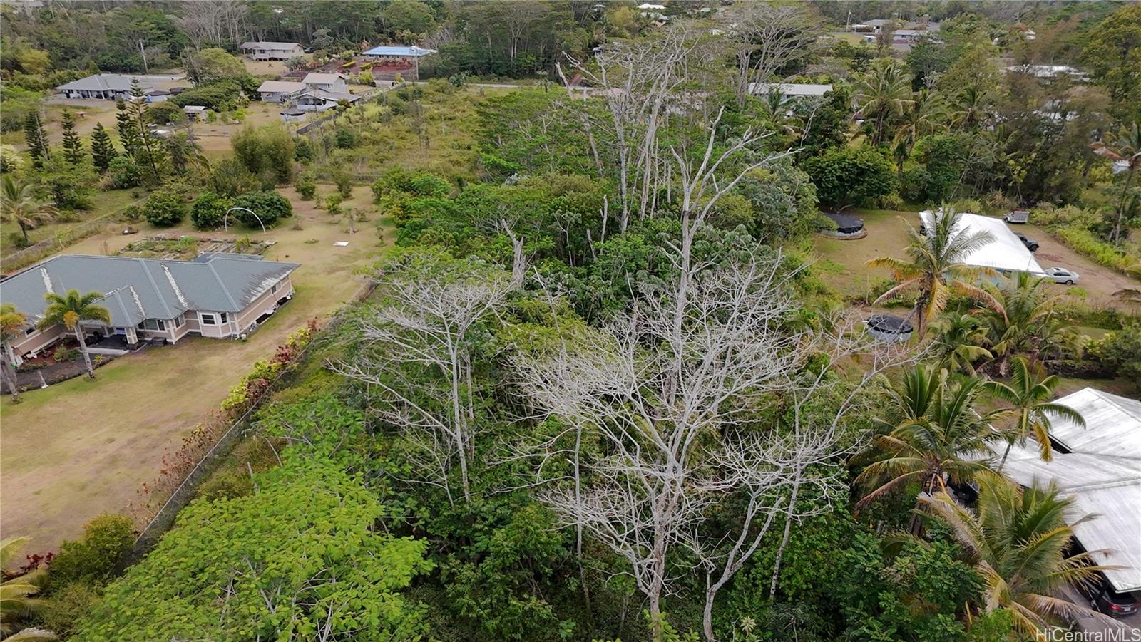 15-1590 17th Ave  Keaau, Hi vacant land for sale - photo 5 of 6