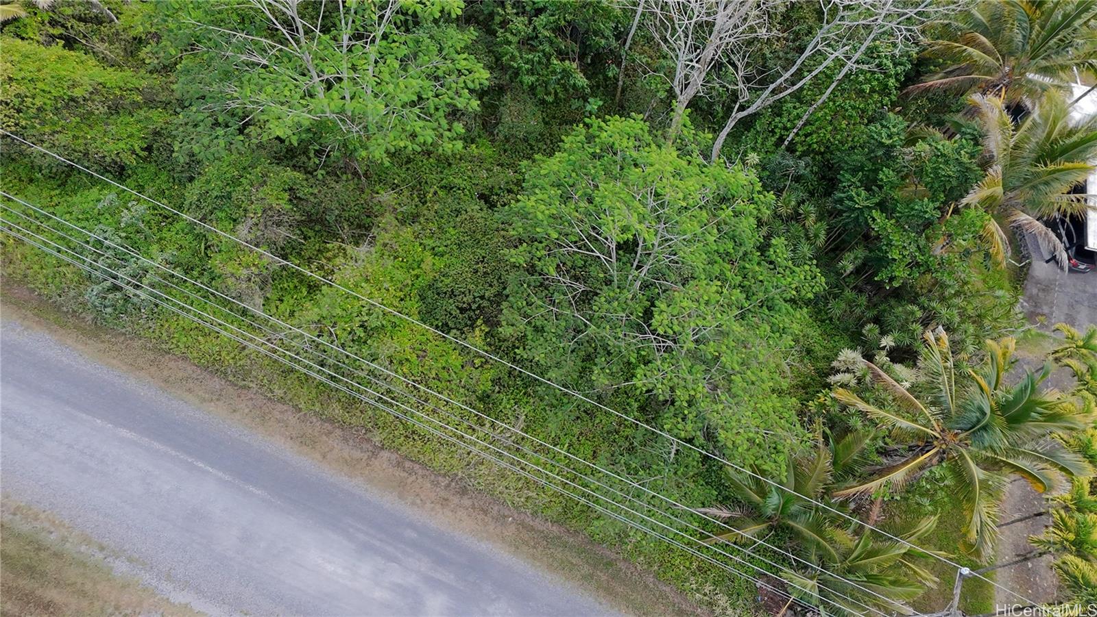 15-1590 17th Ave  Keaau, Hi vacant land for sale - photo 6 of 6