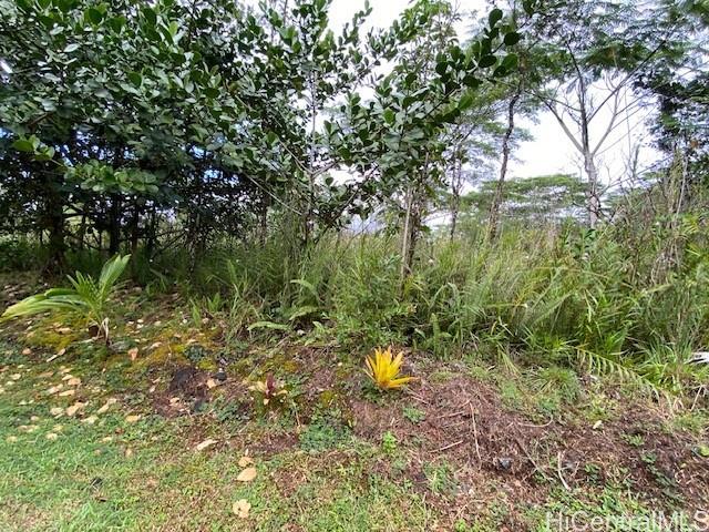 15-1675 7th Ave  Keaau, Hi vacant land for sale - photo 2 of 8